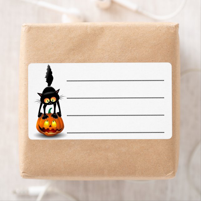 Cat Halloween Scared Cartoon on Pumpkin (Insitu)