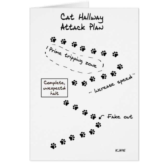 Cat Hallway Attack Plan (Front)