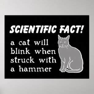 Cat Hammer Funny Print Poster Humour