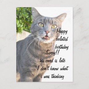 Cat, Happy belated birthdays_ Postcard