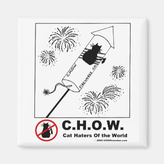 Cat Haters Fireworks Magnet