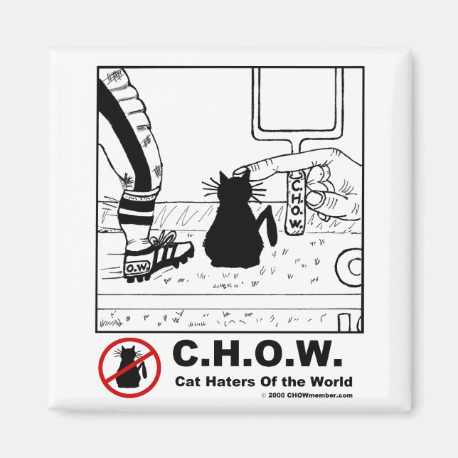 Cat Haters Football Magnet (Front)
