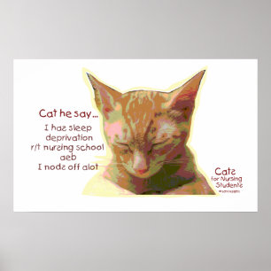 Cat he Say - Nursing School Sleep Deprivation Poster