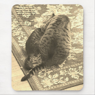 Cat Helping Kitten Mousepad