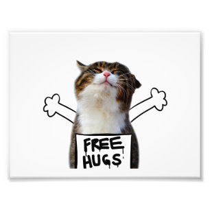 Cat Holding Free Hugs Sign