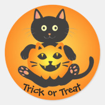 Cat Holding Jack-o'-Lantern