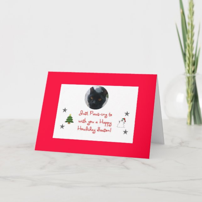 cat holiday card (Front)