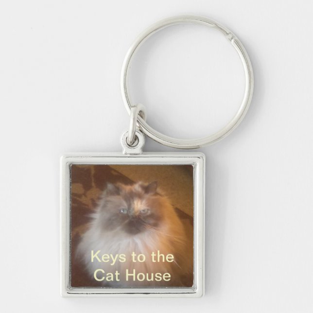 Cat House Key Ring (Front)