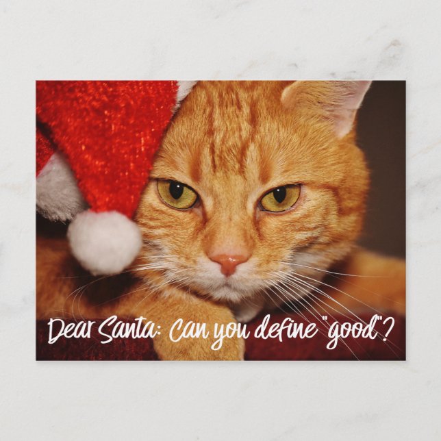 Cat Humour: Dear Santa Define Good | Pet Lover Holiday Postcard (Front)