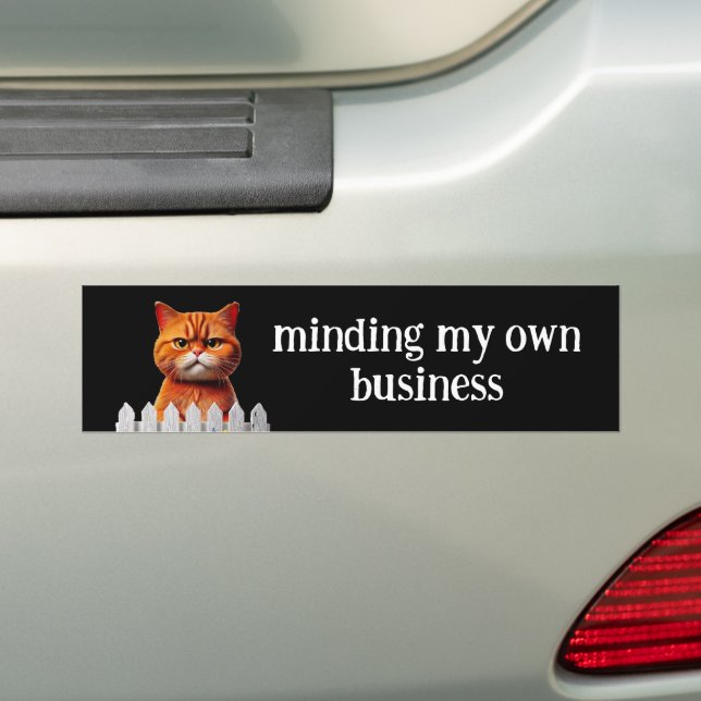 Cat Humour --Minding my own business Bumper Sticker (On Car)