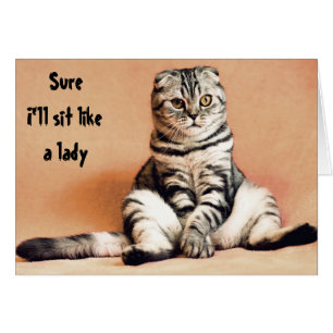 Cat Humour Sit Like a Lady Funny