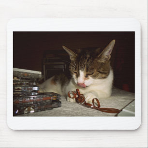 Cat Hungry For Cassettes Mouse Pad