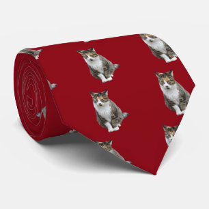 Cat (hybrid) tie