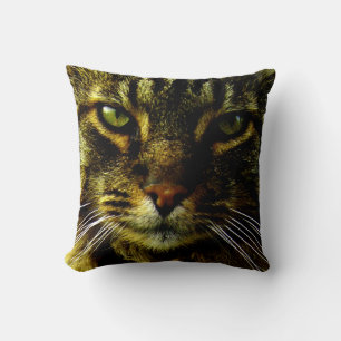 Cat Hypnitizing Eyes Photo Cushion