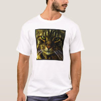 Cat Hypnotising Look Photo