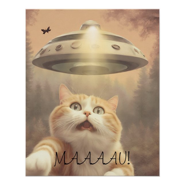 Cat I Believe UFO Wall Poster Art (Front)