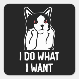 Cat I Do What I Want Funny Square Sticker