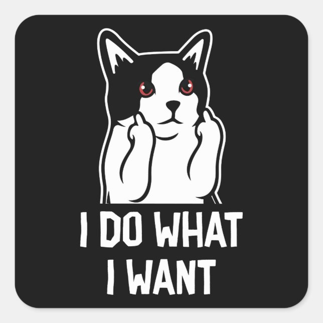 Cat I Do What I Want Funny Square Sticker (Front)