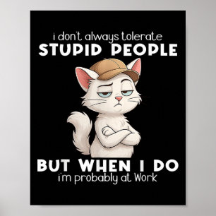 Cat I Dont Always Tolerate Stupid People Poster