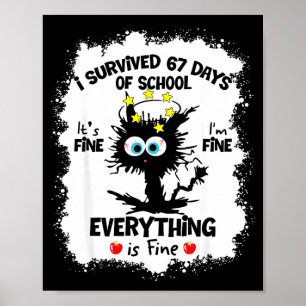 Cat I Survived 67 Days Of School Teachers Students Poster