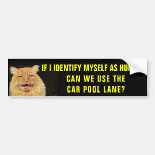 Cat Identifies Himself into Car Pool Lane Bumper Sticker
