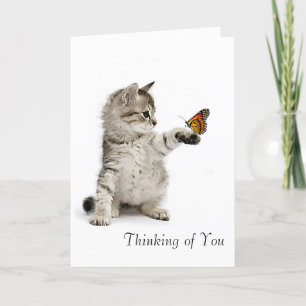 Cat image for get-well-card card