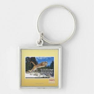 Cat image key ring