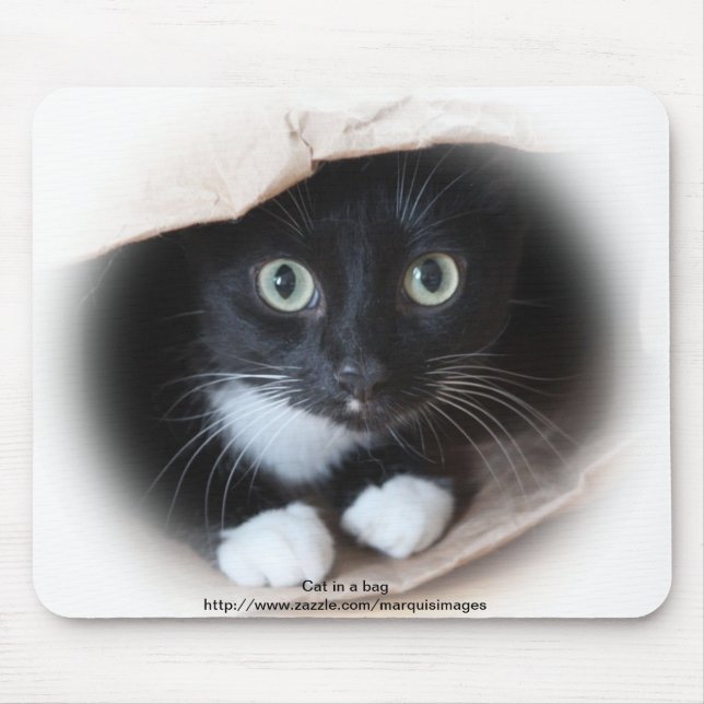 Cat in a bag mouse pad (Front)