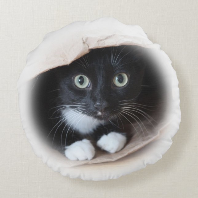 Cat in a bag round cushion (Back)