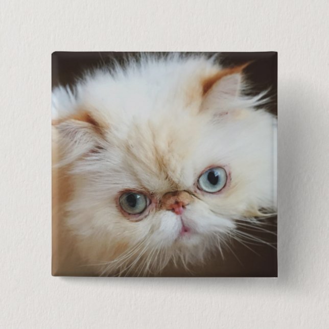 Cat In A Box 15 Cm Square Badge (Front)