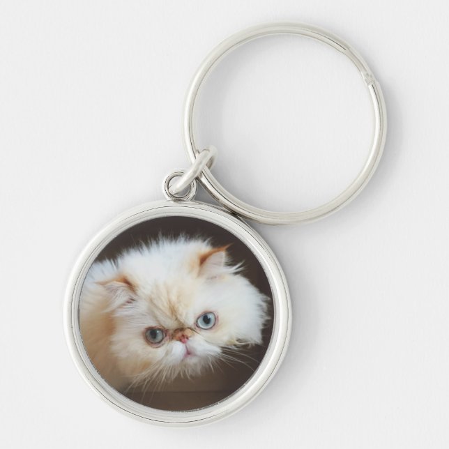 Cat In A Box Key Ring (Front)