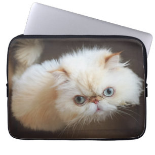 Cat In A Box Laptop Sleeve