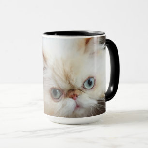 Cat In A Box Mug