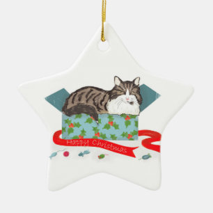 Cat in a box personalised Christmas tree ornament