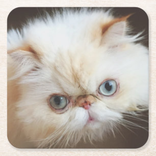 Cat In A Box Square Paper Coaster
