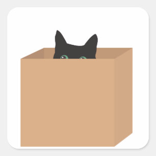 Cat In A Box Square Sticker