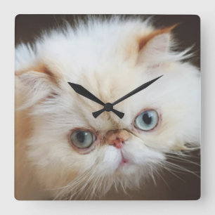 Cat In A Box Square Wall Clock