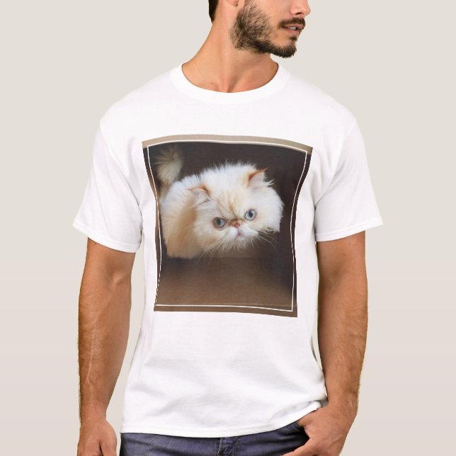 Cat In A Box T-Shirt (Front)