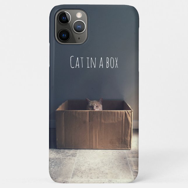 Cat in a box. The Zen cat master. Case-Mate iPhone Case (Back)