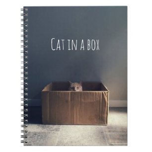 Cat in a box. The Zen cat master. Notebook