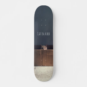 Cat in a box. The Zen cat master. Skateboard
