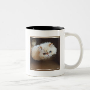 Cat In A Box Two-Tone Coffee Mug