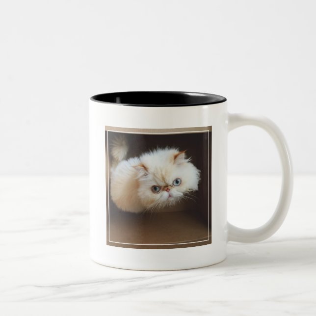Cat In A Box Two-Tone Coffee Mug (Right)