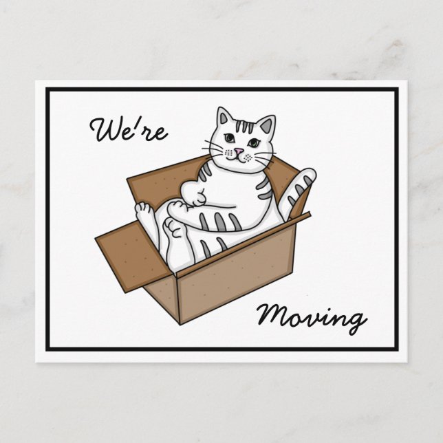 Cat in a Box "We're Moving" New Address   Announcement Postcard (Front)