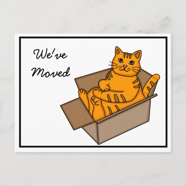 Cat in a Box "We're Moving" New Address   Announcement Postcard (Front)