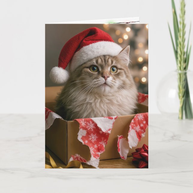 Cat In a Christmas Gift Box Card (Front)