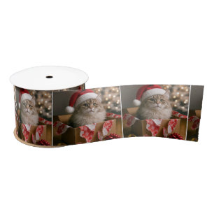 Cat In a Christmas Gift Box Satin Ribbon
