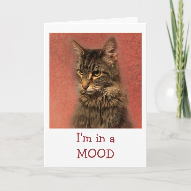 Cat In A Mood Get Well Card (Front)