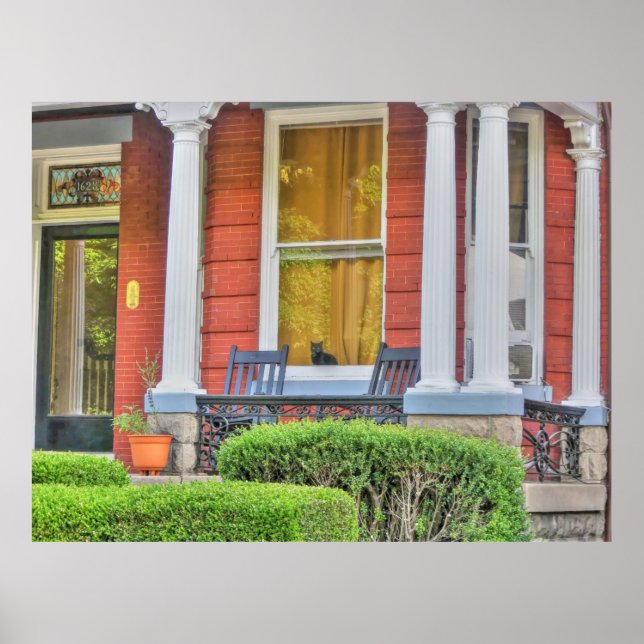 Cat in a Window  Poster (Front)