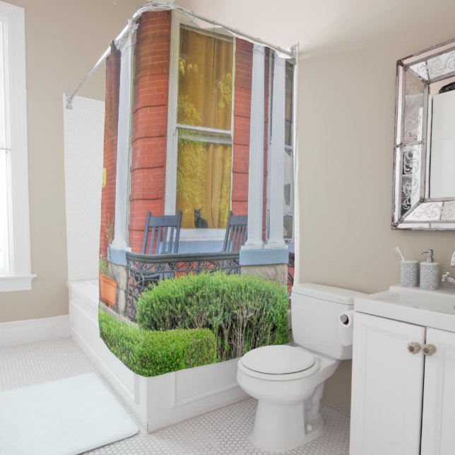 Cat in a Window Shower Curtain (In Situ)